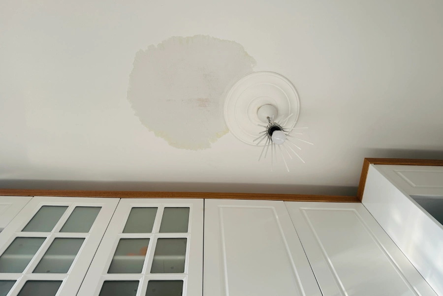 Affordable Ceiling Painting in Georgetown, DE