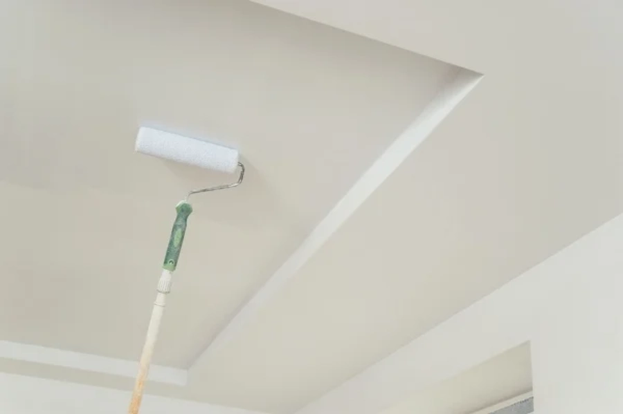 Professional Ceiling Painting in Georgetown, DE
