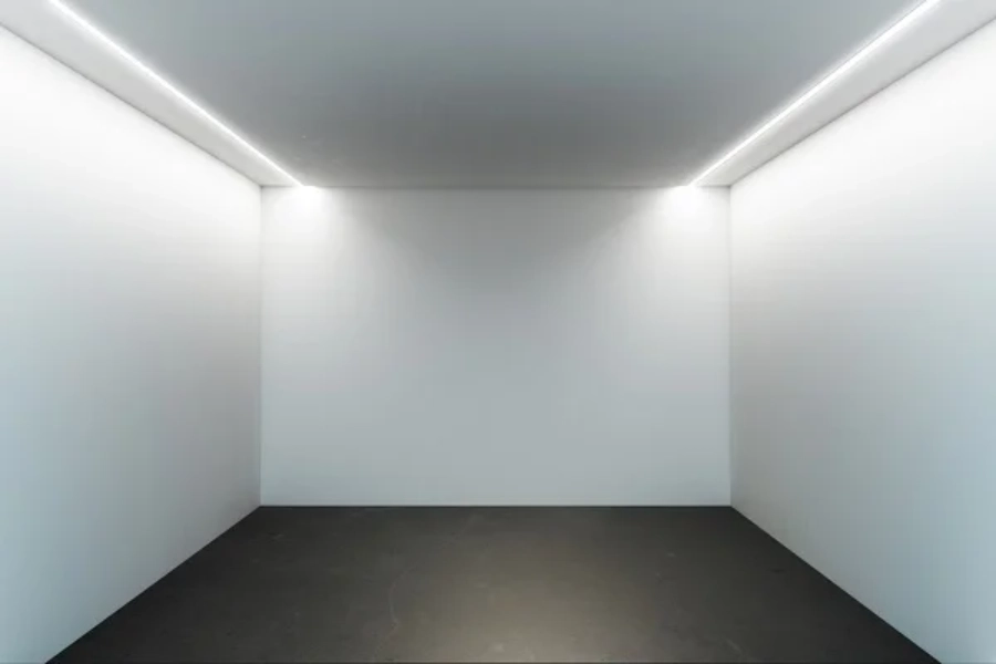 Professional Interior Painting Services in Georgetown, DE