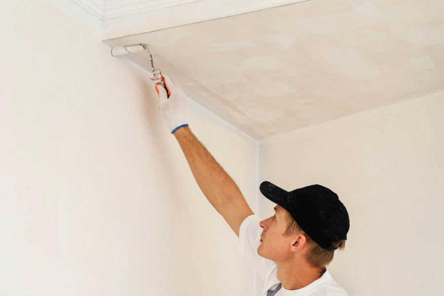 Reliable Ceiling Painting in Georgetown, DE